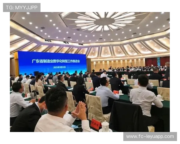 低价奇兵变队伍救星，助力企业高效转型的新选择