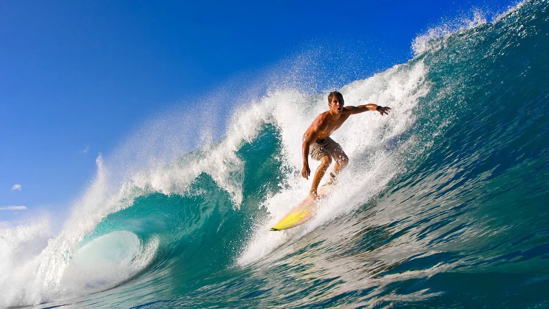 中立B选手该项目整体表现坚实